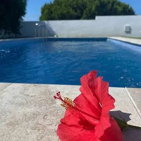 Conilizate 12 Pax Piscina 300mts Playa